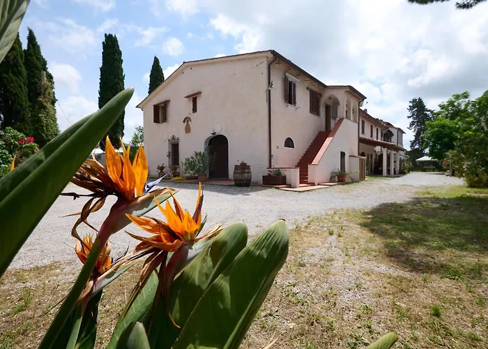 Villa Antichi Palmenti - Erica San Vincenzo