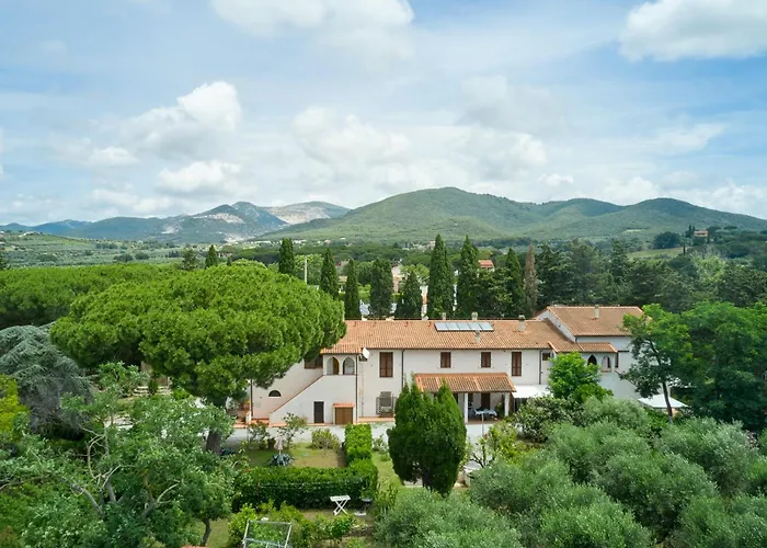 Villa Antichi Palmenti - Erica San Vincenzo