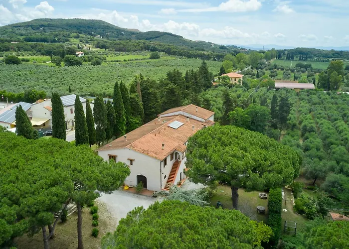Villa Antichi Palmenti - Erica San Vincenzo